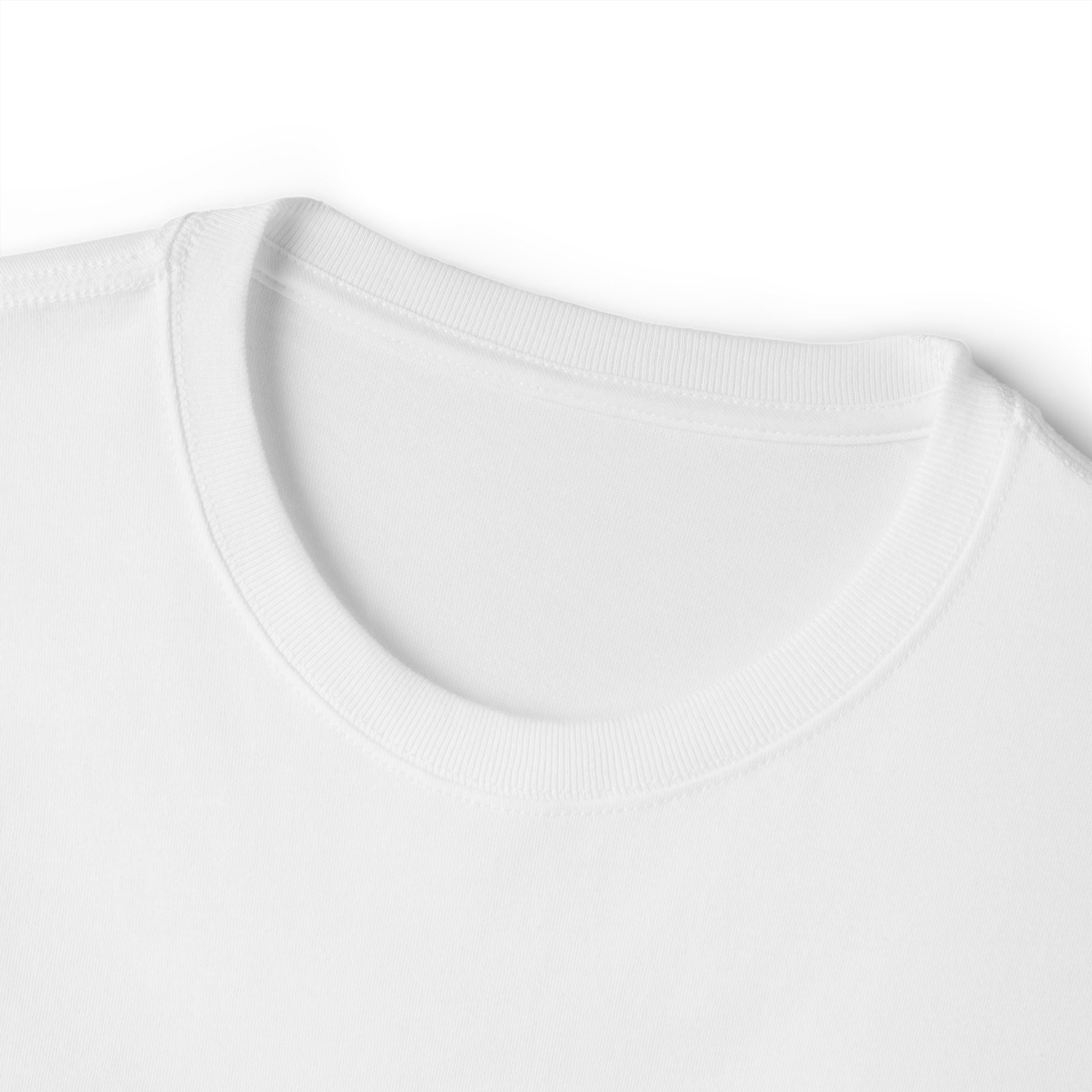 ALUI Oversized Boxy T-Shirt