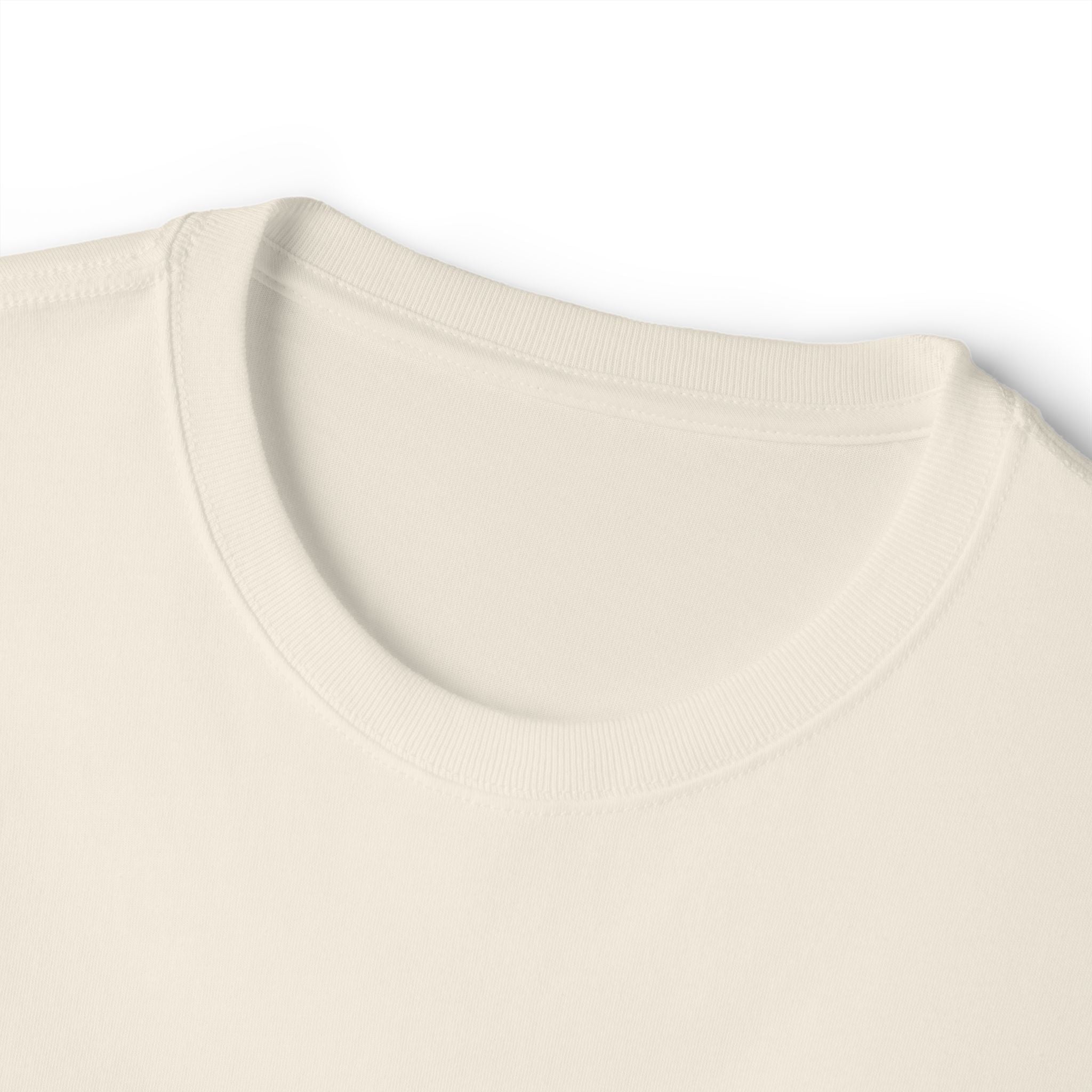 ALUI Oversized Boxy T-Shirt
